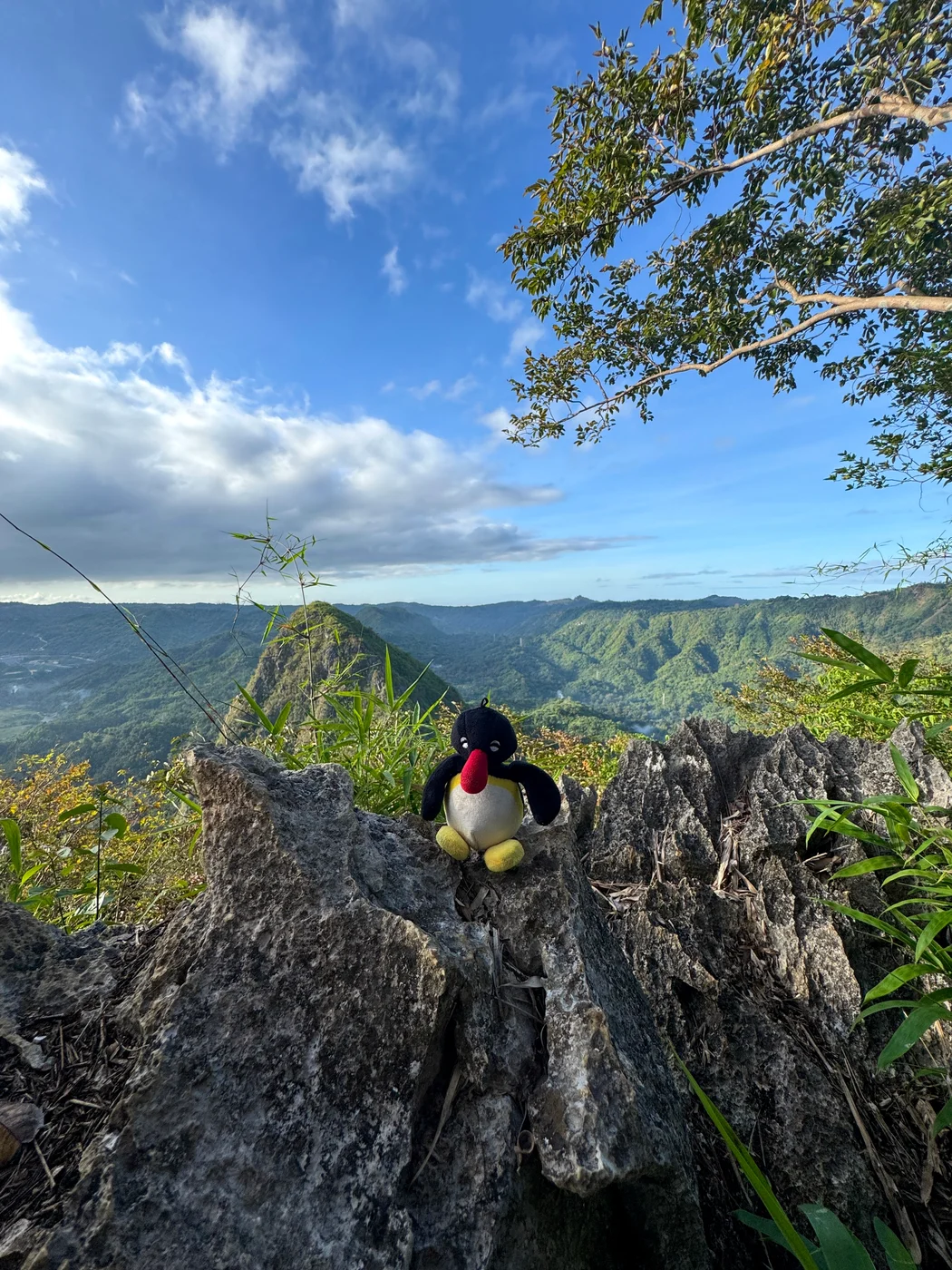 A Pingu plush perched on a rocky summit above green mountains
