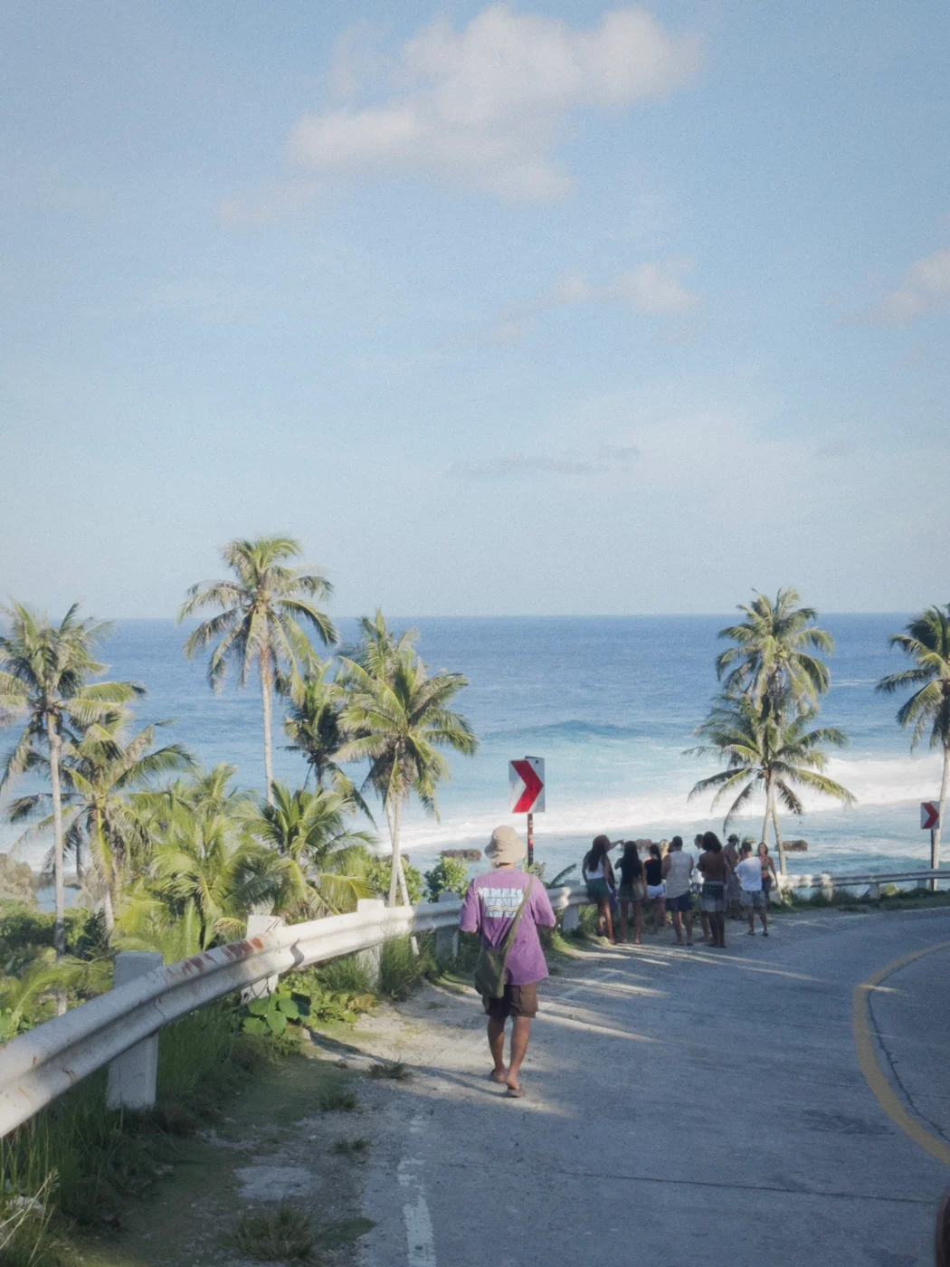 Alex standing on a palm-lined terrace overlooking the sea